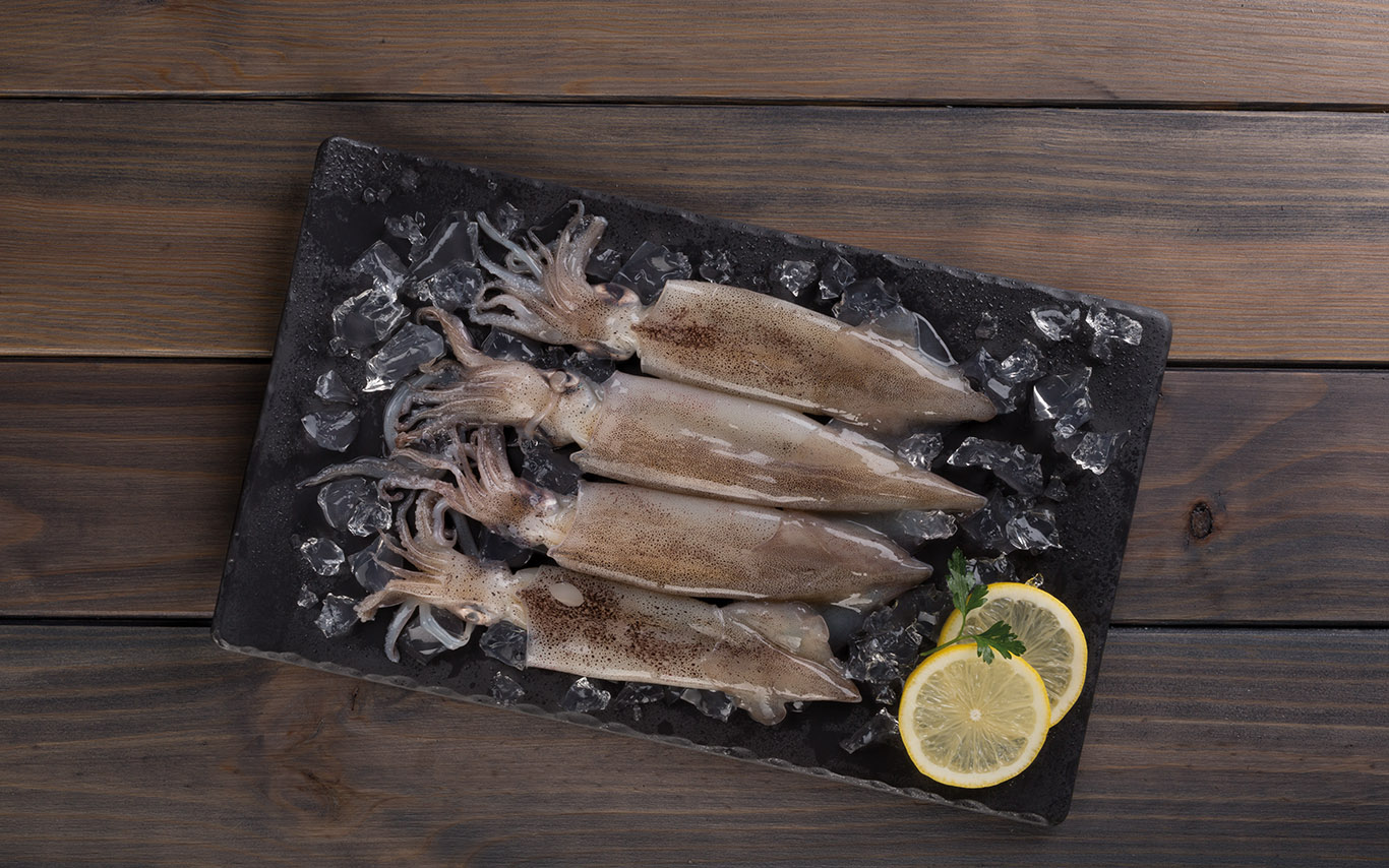 calamar patagonico entero fish solutions para hosteleria