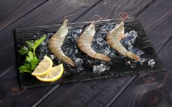Foto formacion como descongelar pescado Pescanova Fish Solutions