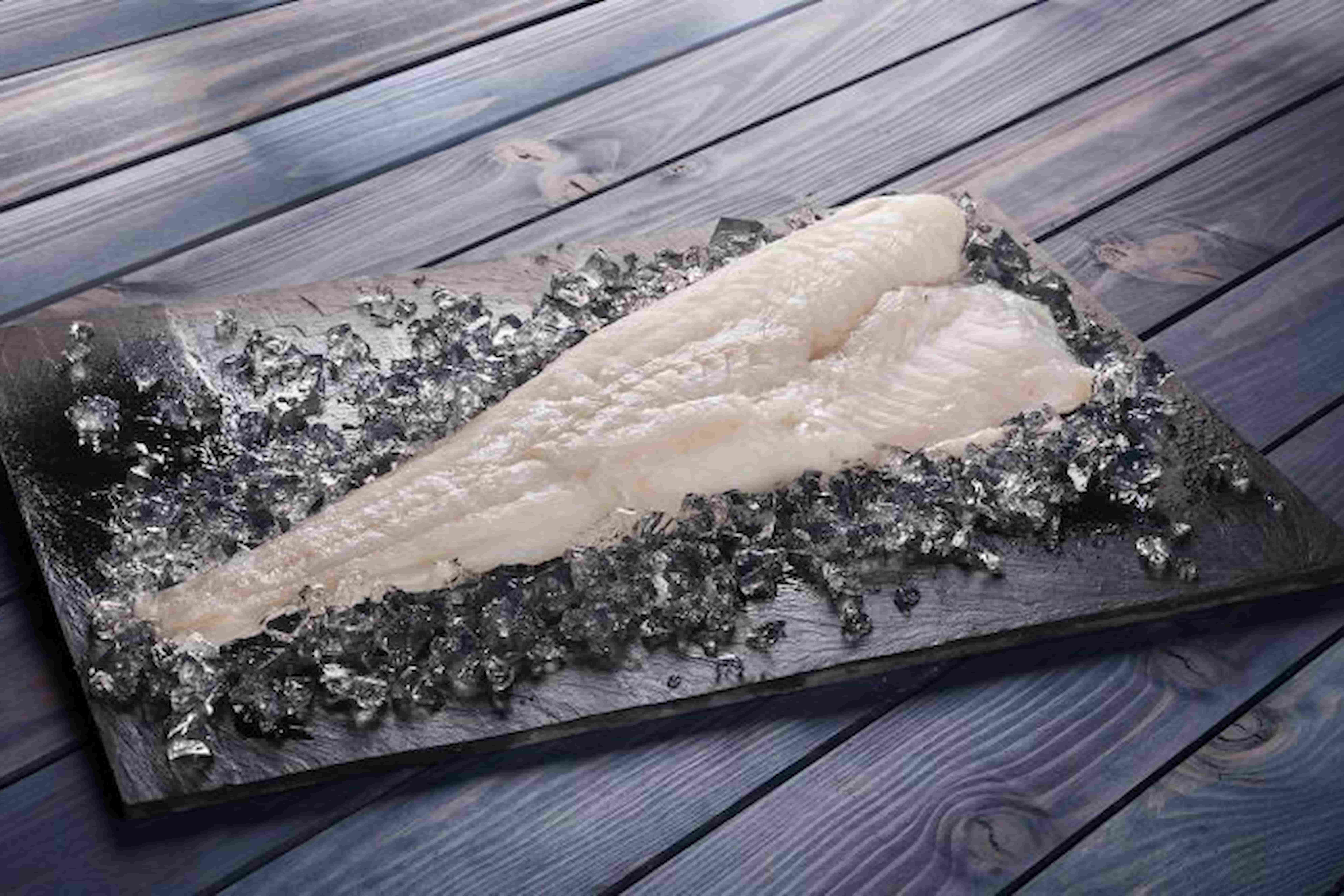 foto formacion todo sobre el bacalao filete fish solutions