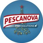 https://www.instagram.com/pescanovafishsolutions/