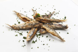 Foto sardinas fritas formacion fish solutions