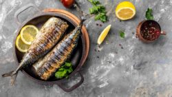receta de caballa para formacion fish solutions tipos de pescado mas comunes
