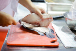 foto corte de pescado formacion fish solutions