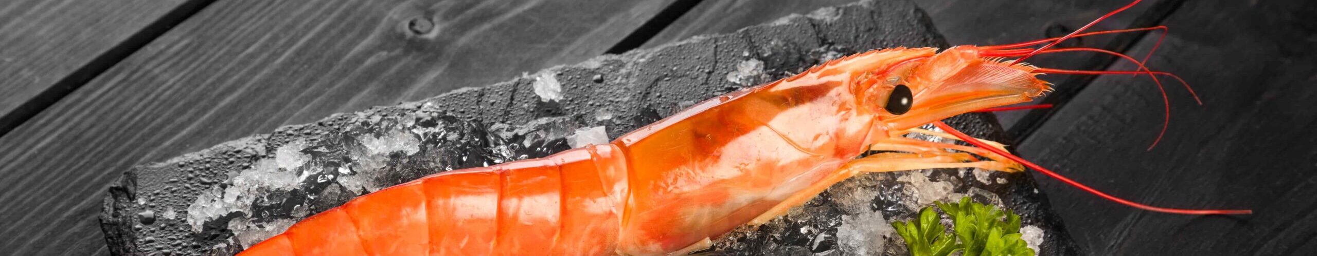 Foto de langostino austral o gambón pescanova fish solutions